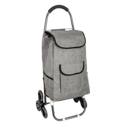 Shopping Bag On Wheels WZ390BC Tricycle Trolley Bag For Shopping Or Beach Bearing