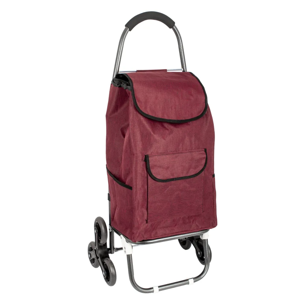 Shopping Bag On Wheels WZ391BC Tricycle Trolley Bag For Shopping Or Beach Bearing