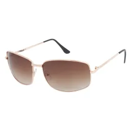 Haker H308 Brown Sunglasses