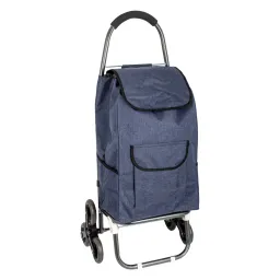 Shopping Bag On Wheels WZ392BC Tricycle Trolley Bag For Shopping Or Beach Bearing