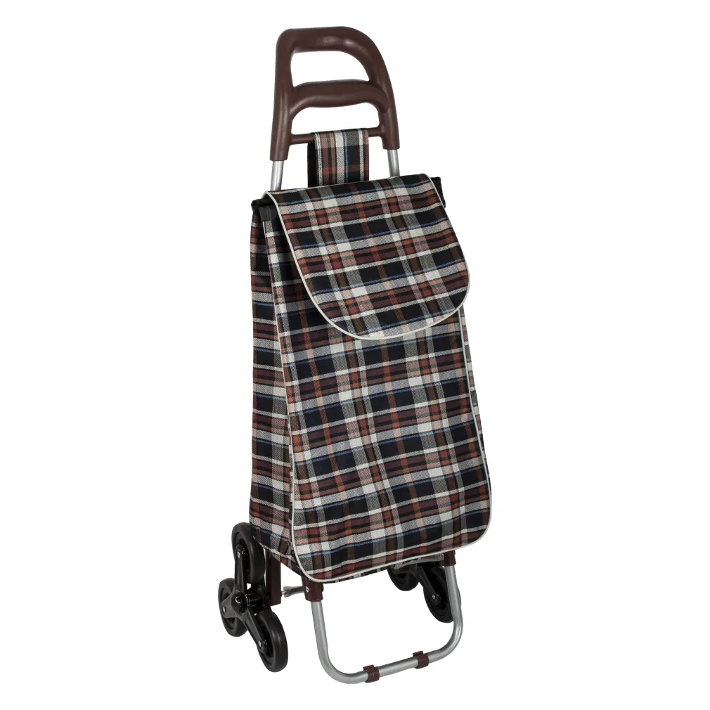 Shopping Bag On Wheels WZ380BC Tricycle Trolley Bag For Shopping Or Beach