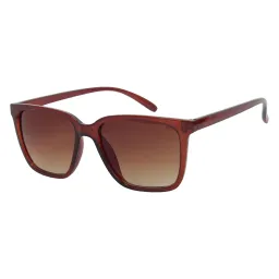 Haker H542B Brown Sunglasses